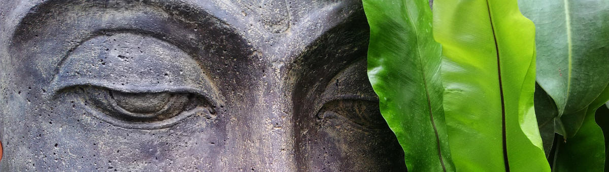 meditation for begyndere