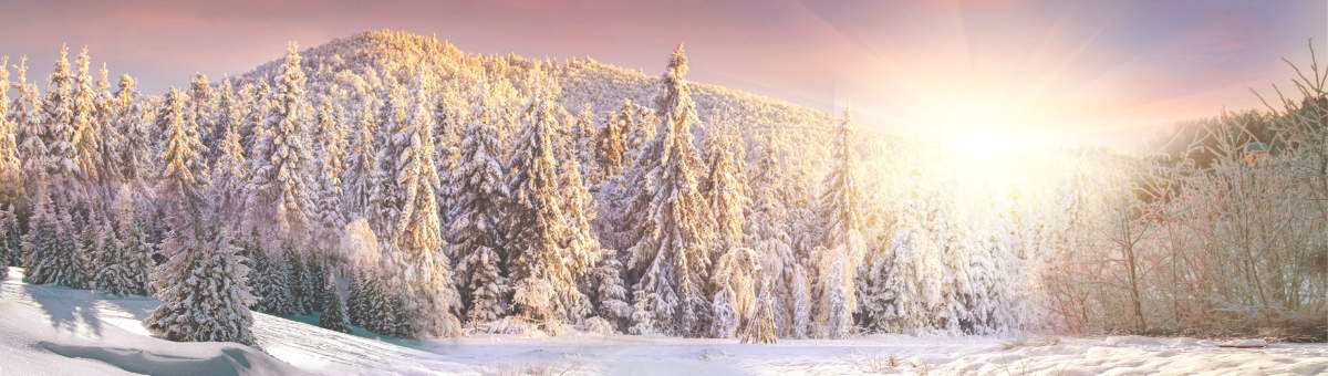Vintersolhverv