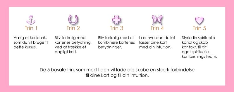 trinvis laering kortlaesning