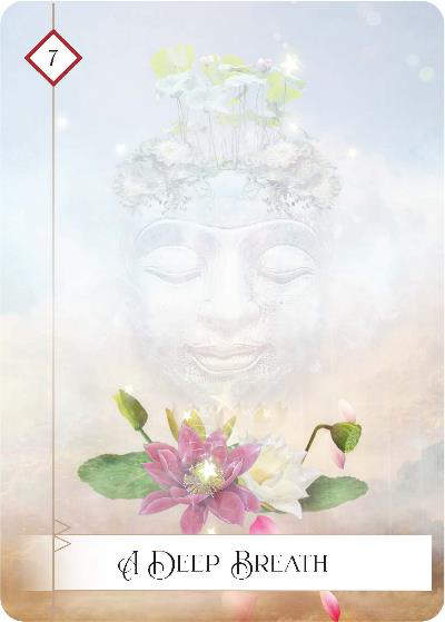 Wisdom of the oracle