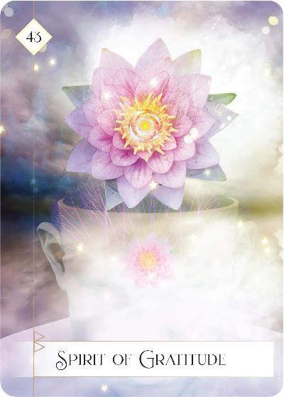 Wisdom of the oracle