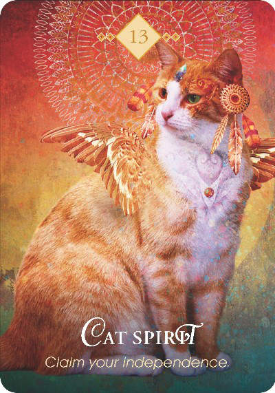 Wisdom of the oracle