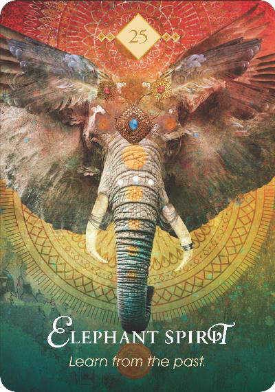 Wisdom of the oracle