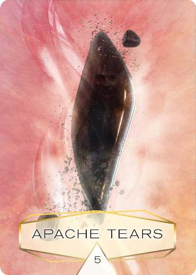 Wisdom of the oracle