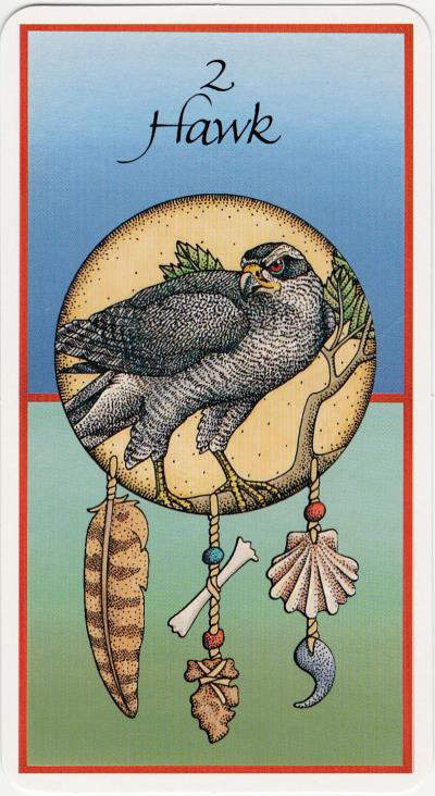 Wisdom of the oracle