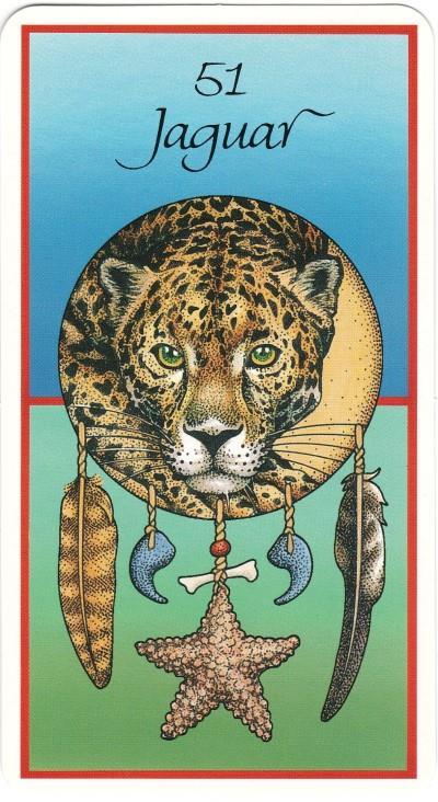 Wisdom of the oracle