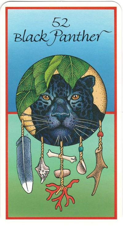 Wisdom of the oracle