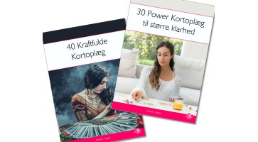 Sølv pakken - Sæt med 2 bøger med kortoplæg
